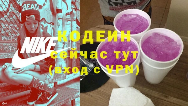 mdpv Елизово