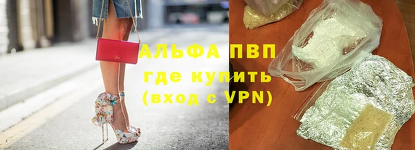 спайс Ельня