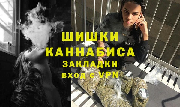 спайс Ельня