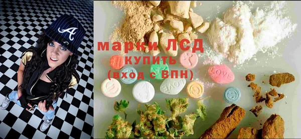 mdpv Елизово
