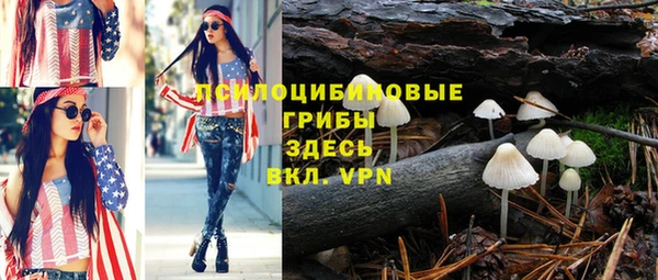 mdpv Елизово