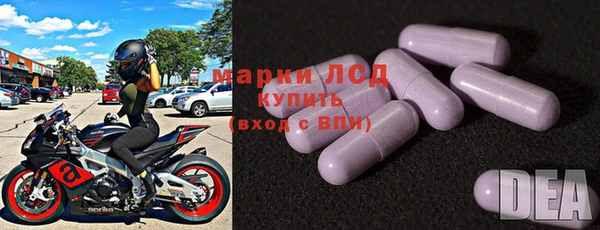 спайс Ельня