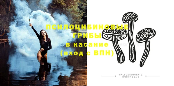 спайс Ельня