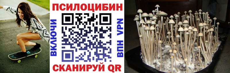 Купить  Данков  Галлюциногенные грибы Magic Shrooms 